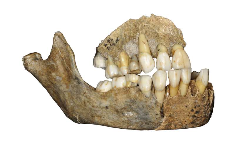 The ancient history of Neandertals in Europe