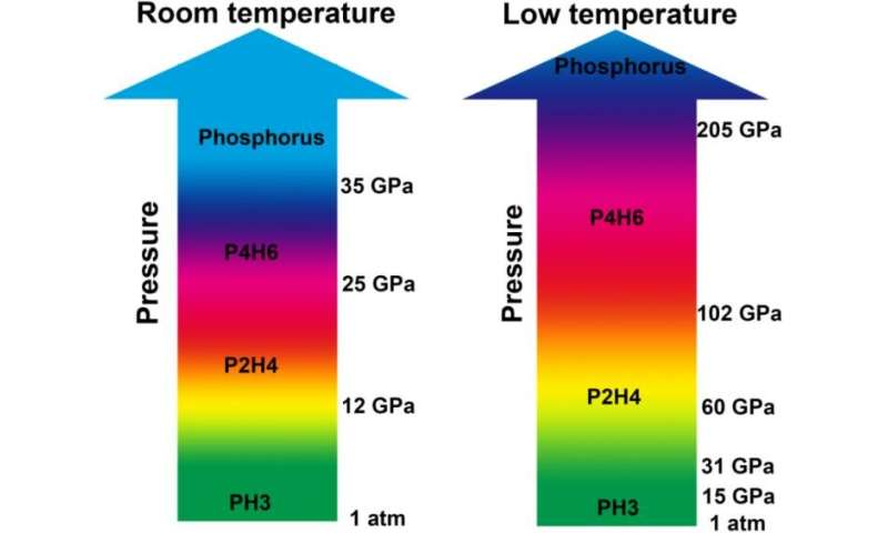 Uncovering The Superconducting Phosphine P2h4 And P4h6