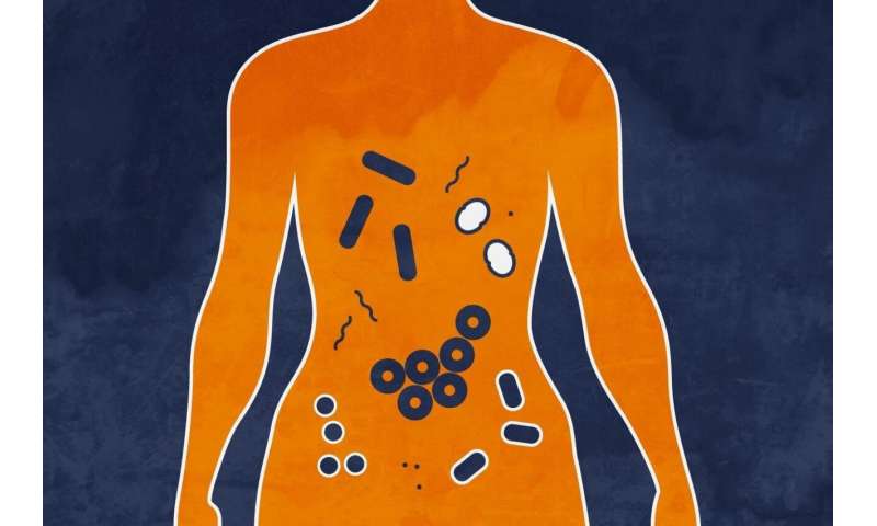 Unhealthy gut promotes spread of breast cancer, study finds