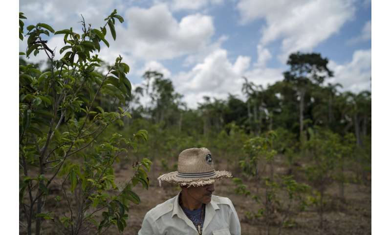 Preservation or development? Brazil’s Amazon at a crossroads