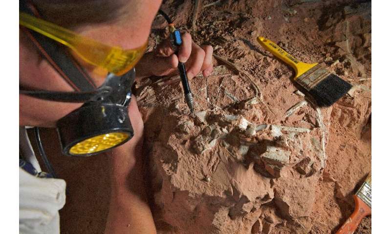 Paleontologist Rodrigo Temp Muller and the team he works on are studying several dinosaur species