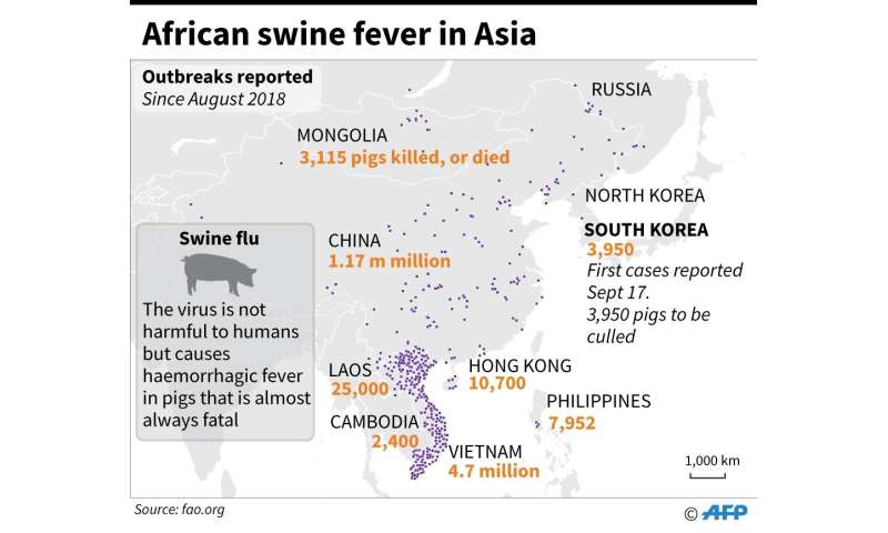 Swine Flu Chart