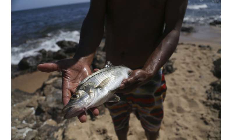 Brazil oil spill leaves local fishermen in the lurch