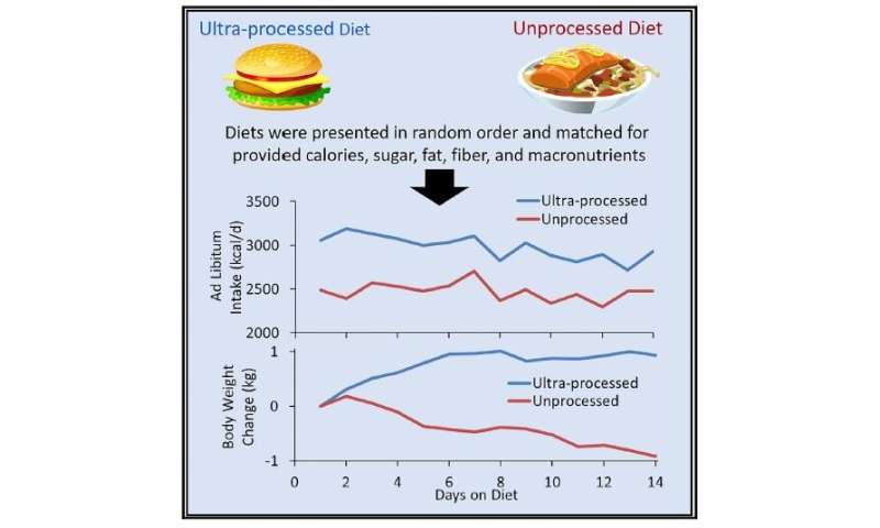 Controlled study links processed food to increased calorie consumption