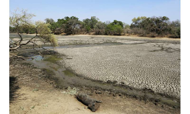 Drought parches southern Africa, millions faced with hunger