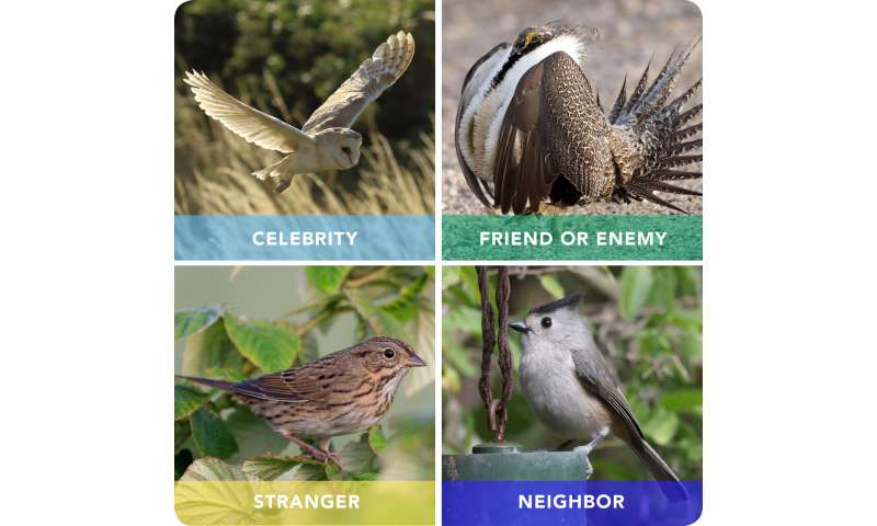 Google searches reveal popular bird species