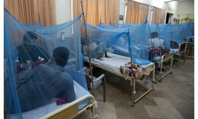 Official says dengue outbreak in Pakistan among worst-ever