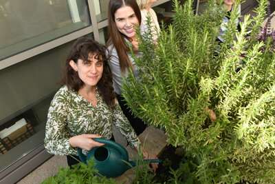 Study shows gardening had therapeutic effects for psychiatric patients
