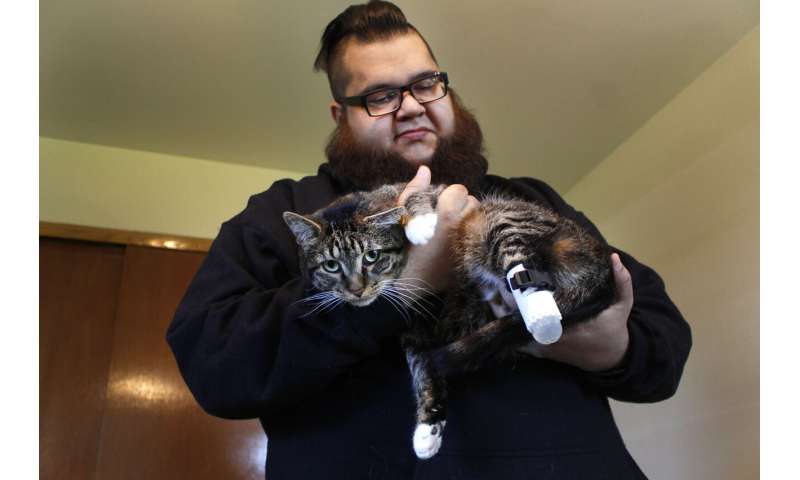Wisconsin university helps cat get new back legs
