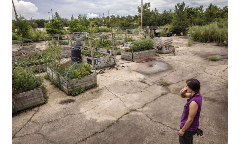 City gardens, public produce stands ease 'food desert' woes