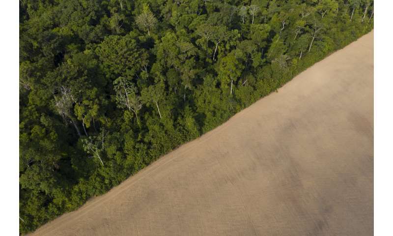 Preservation or development? Brazil’s Amazon at a crossroads