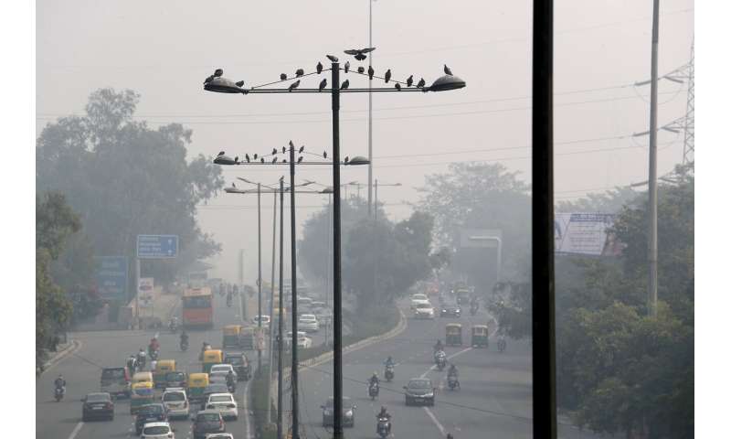 Air quality sinks to 'severe' in haze-shrouded New Delhi
