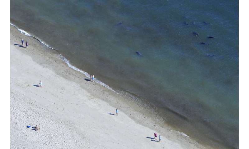 The white sands of Oahu's Kailua beach named best in America