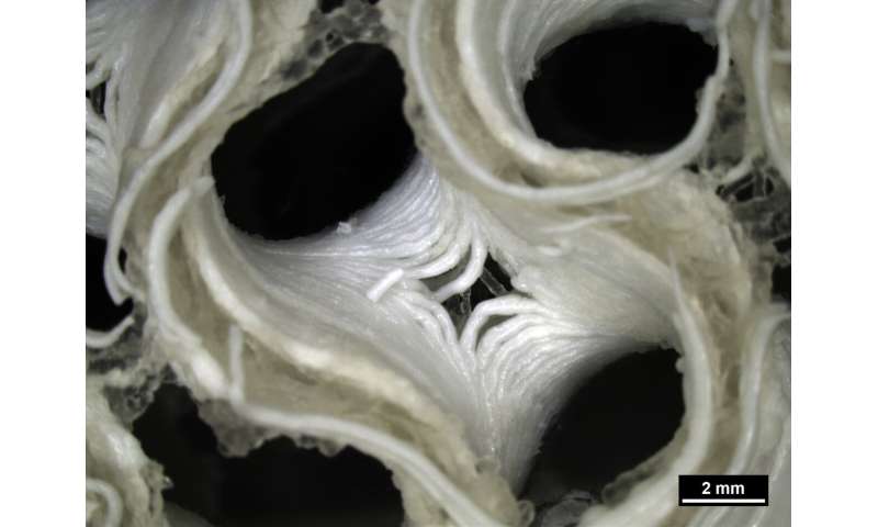 Upside-down, 3-D-printed skin and bone for Mars explorers