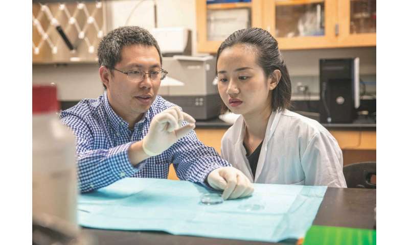 UTA researcher earns grant to detect, repair vaginal prolapse in early stages