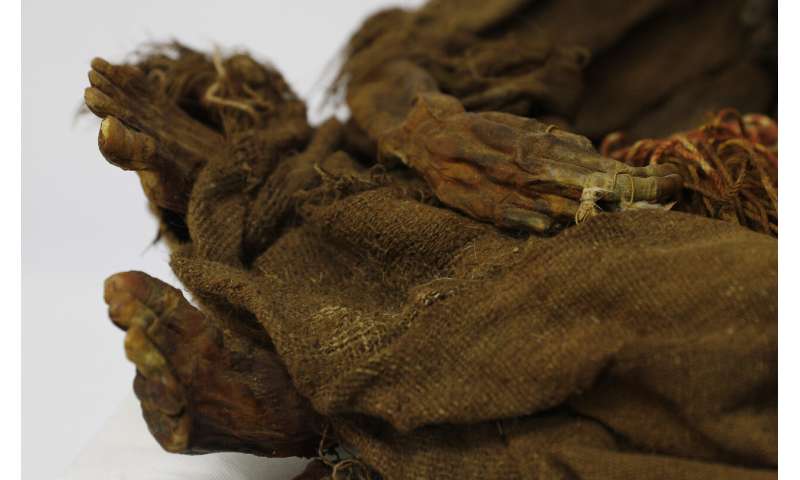 500-year-old mummy of Incan girl returns to Bolivia