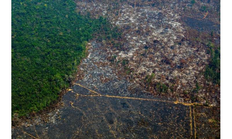 Deforestation in Brazil's Amazon, shown in this photo taken in Para state in August 2019, has risen sharply this year