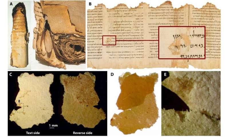 Study of Dead Sea Scroll sheds light on a lost ancient parchment-making technology