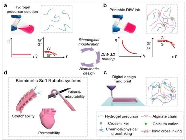[Dialog] Hydrogel printing made easy and biocompatible for soft robotic systems