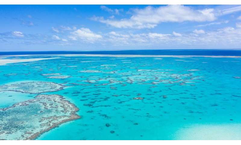 Great Barrier Reef study shows how reef copes with rapid sea-level rise