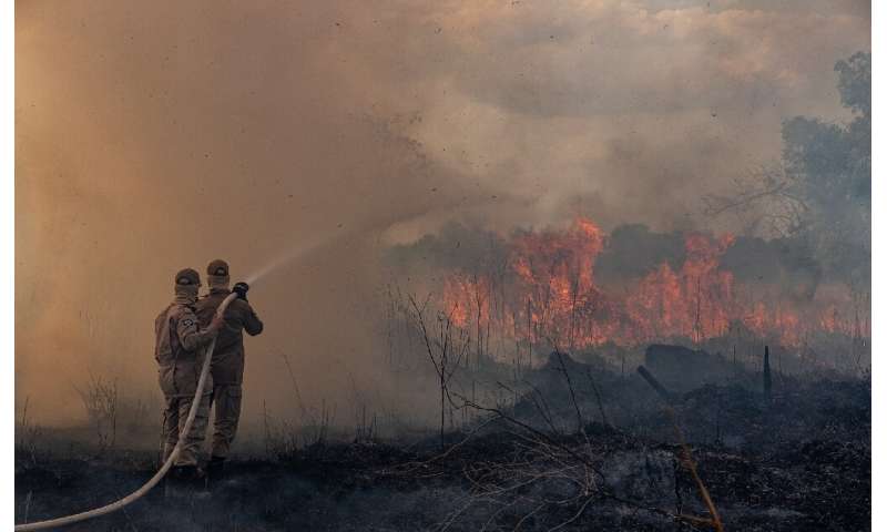 Firefighters in the Brazilian Amazon basin state of Mato Grosso battle a forest blaze in the municipality of Sorriso