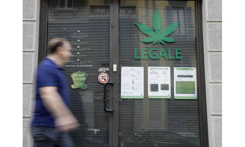 Italy's 'cannabis light' creates buzz even if the pot won't