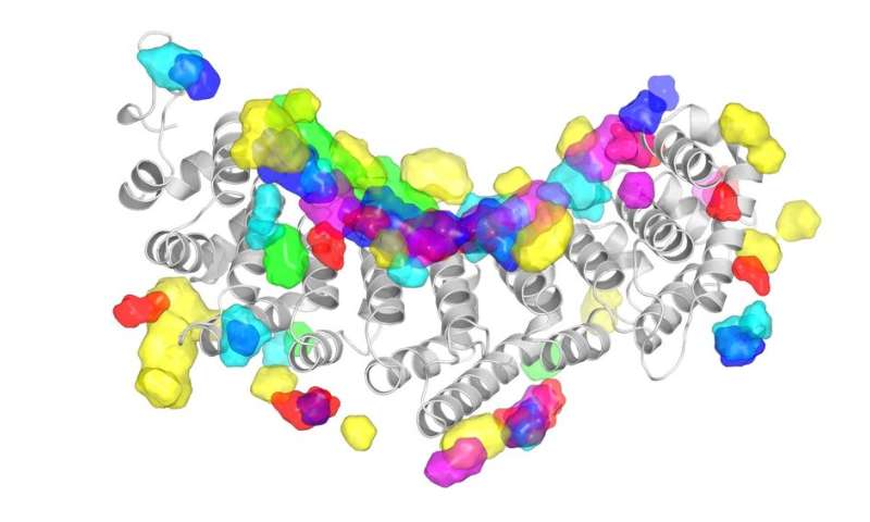 Ai Reveals Nature Of Rna Protein Interactions