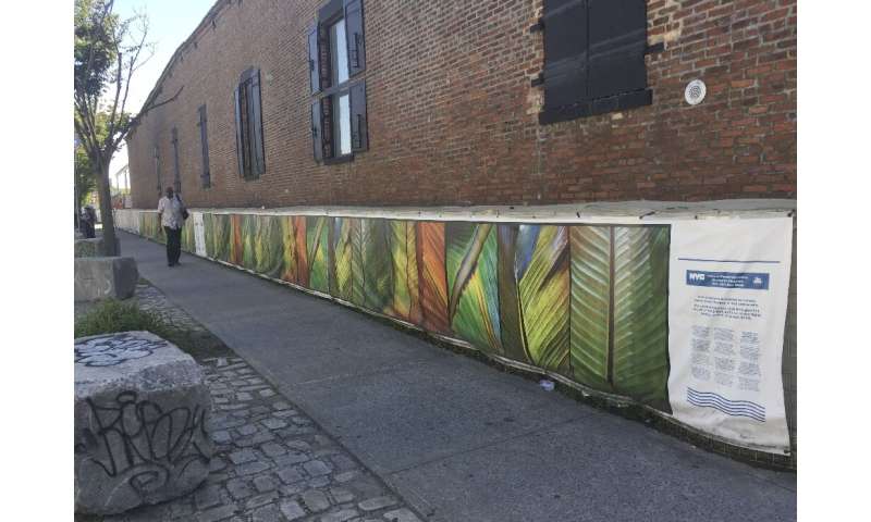 A temporary sandbag wall, seen in Red Hook, Brooklyn, was painted by an artist