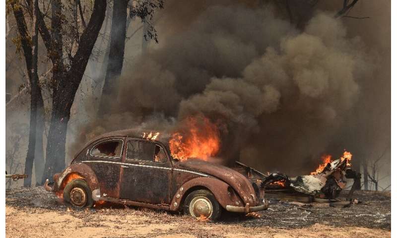 At least three million hectares (7.4 million acres) of land has been torched across Australia in recent months