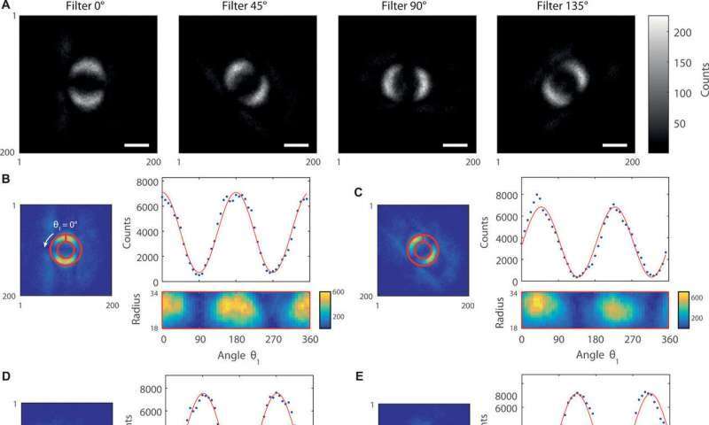 Best of Last Week: Image of quantum-entanglement, breaching a carbon threshold and cutting calories in slim adults