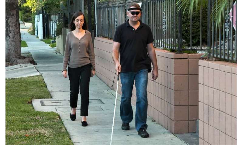 Brain implant restores visual perception to the blind