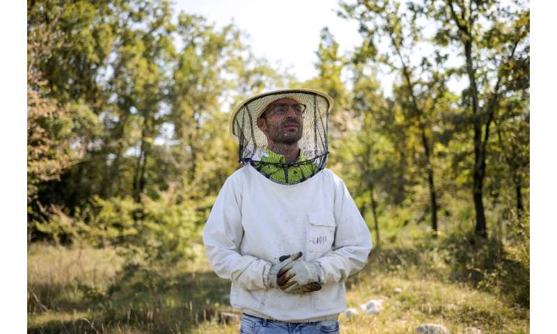 Climate change pushes Italy beekeepers to the brink