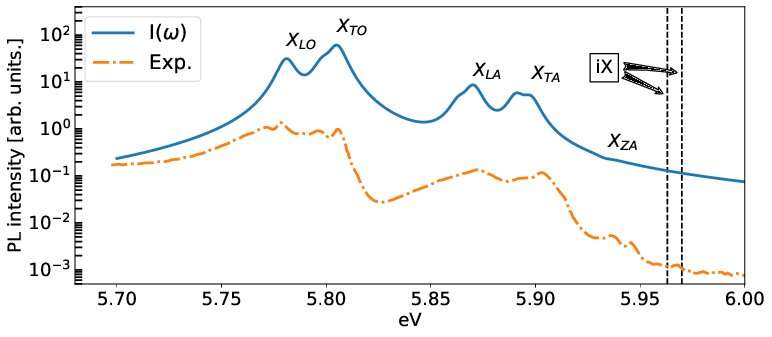 Coupling excitons and phonons in hexagonal boron nitride