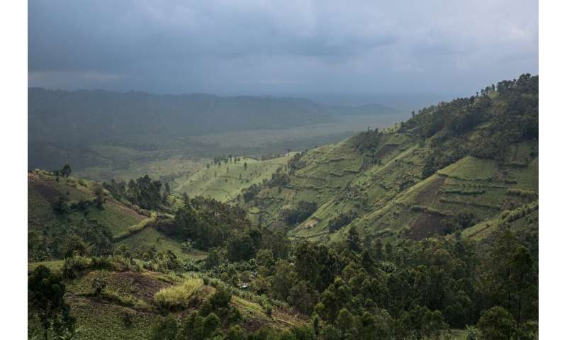 Crops border Virunga National Park in DR Congo, where the goverment faces a daunting challenge to protect the rainforest