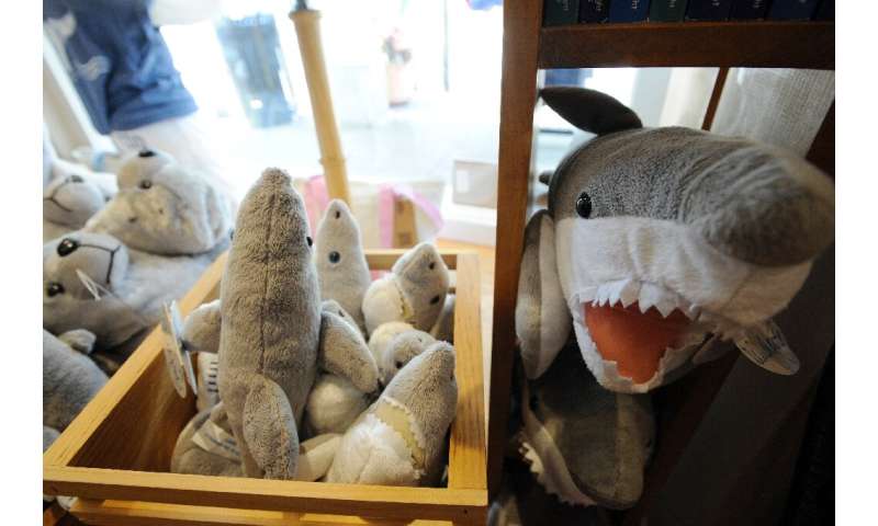 From deadly predator to plush toy: great white merchandise is on sale at the Cape Cod gift stores