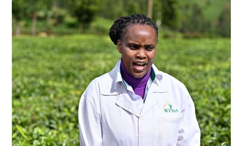Grace Mogambi, the Kenya Tea Development Agency's manager of specialty products, says &quot;consumer taste preferences are chang
