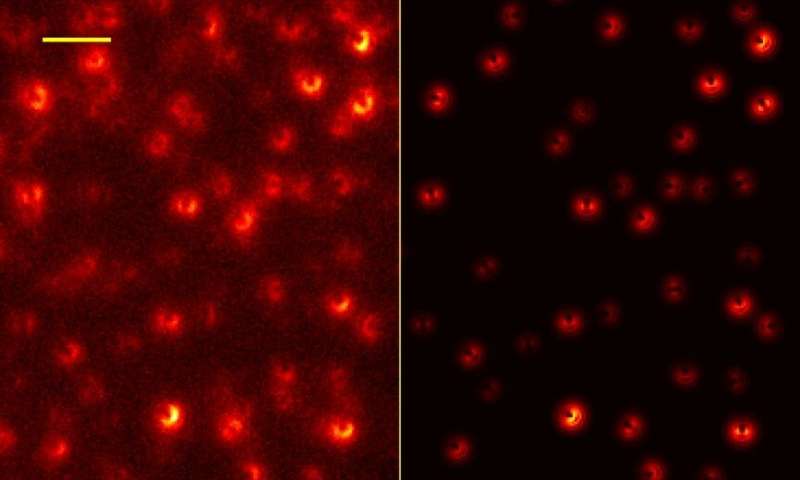 The graphene layer makes it possible to advance in the super-resolution microscopy
