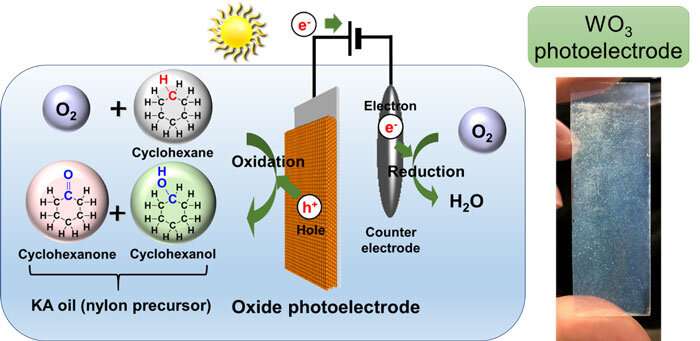 Schematic Diagram Of Ka Oil Synthesis Using Sunlight And