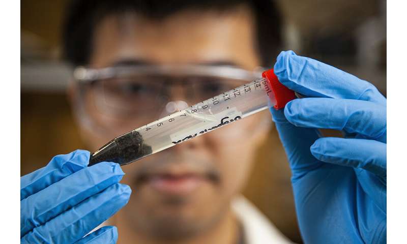 Microwave treatment is an inexpensive way to clean heavy metals from treated sewage