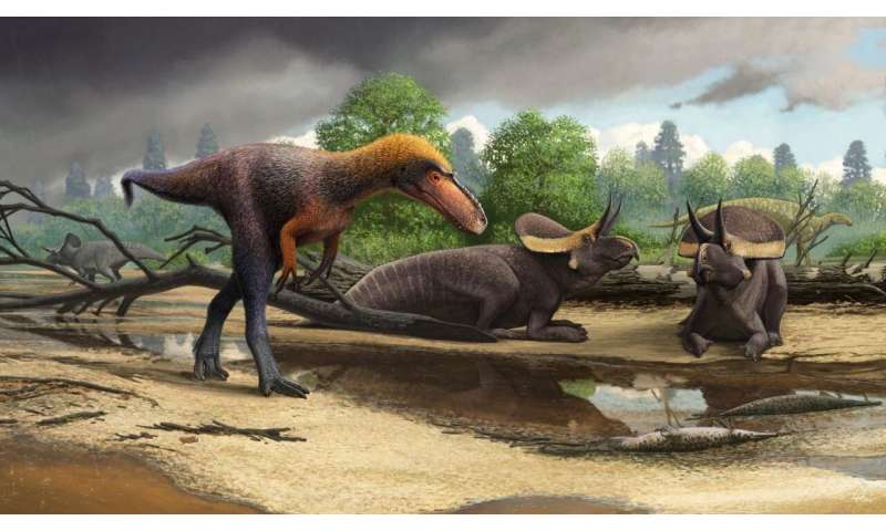 New 3-foot-tall relative of Tyrannosaurus rex