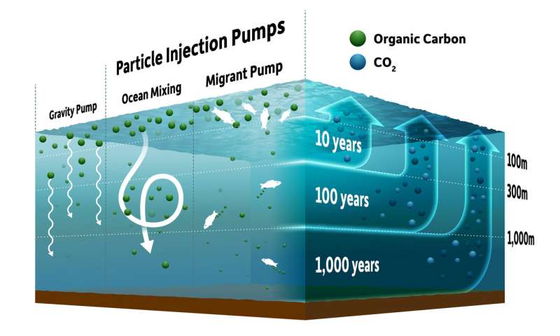 New View Of How Ocean Pumps Impact Climate Change