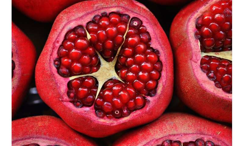 Image result for pomegranates