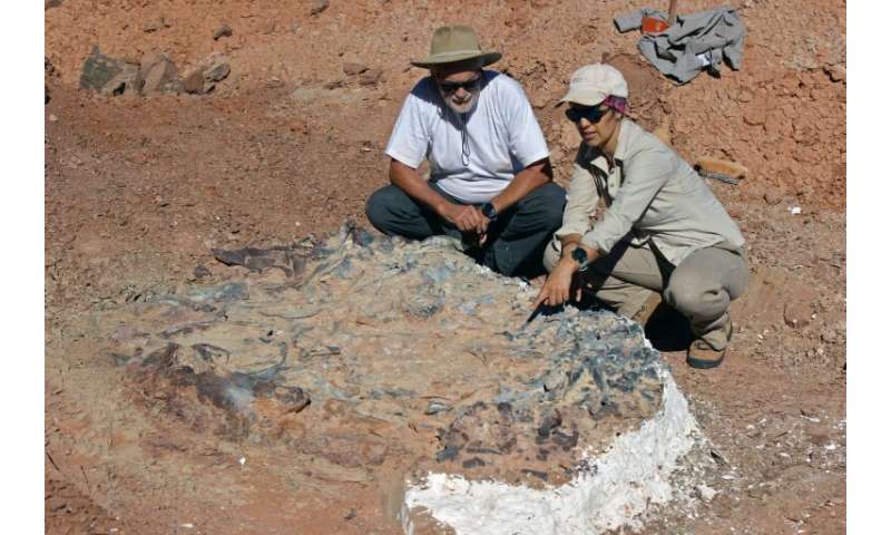 Scientists speculate  the site was a former drinking hole at a time of great drought, where the creatures died of weakness