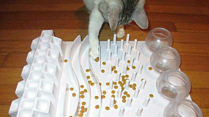 puzzles for cats