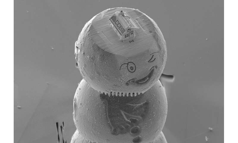The gingerbread house, etched from silicon, sits atop a cap on the head of a winking snowman made from materials used in lithium