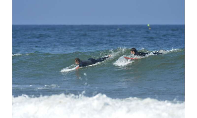 These surfers at Newcomb Hollow Beach are riding the waves even though a great white killed a surfer in September 2018