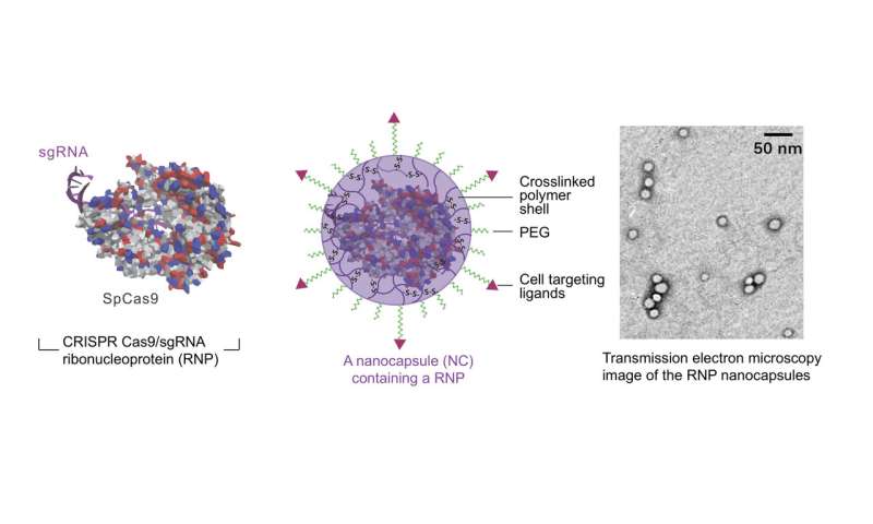 Tiny capsules offer an alternative to the viral administration of gene therapy