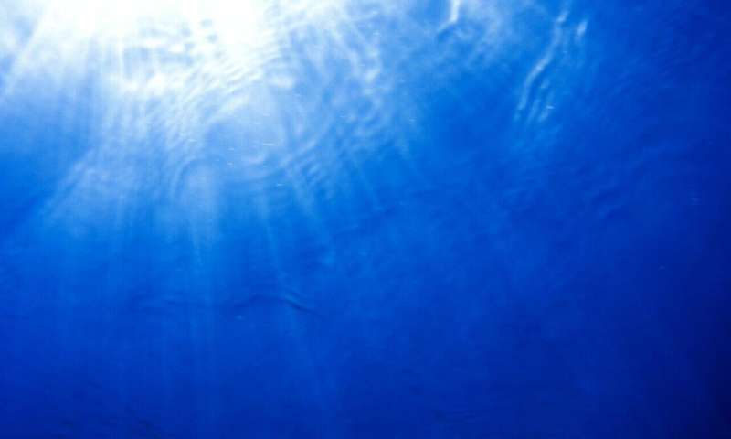 under sea