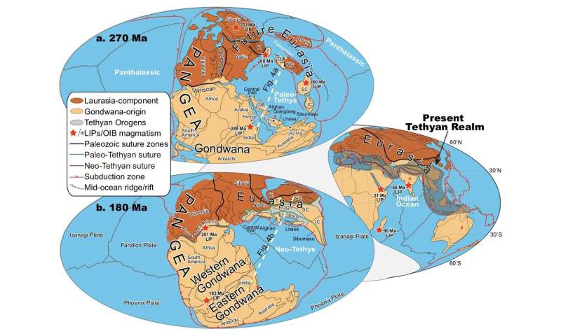 What drives plate tectonics?