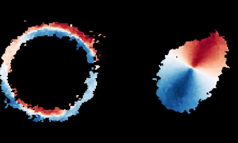 ALMA sees most distant Milky Way look-alike